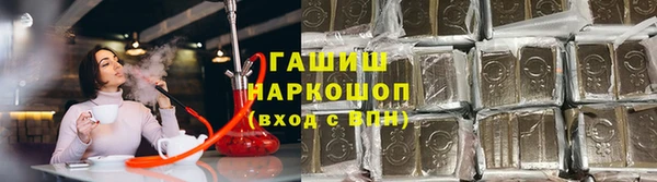 прущие грибы Нягань