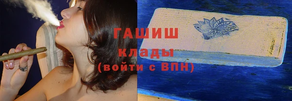 хмурый Няндома