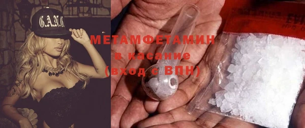 прущие грибы Нягань