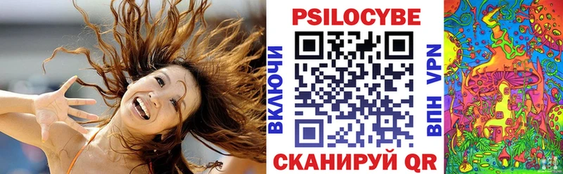 Купить закладки  Спасск-Рязанский  Галлюциногенные грибы мухоморы 